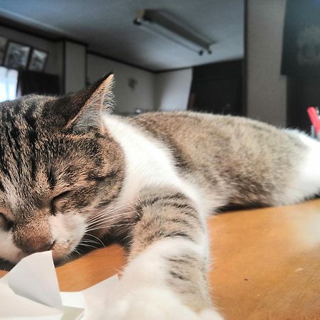 Tiny Guesthouse Umekoji 梅小路 京都市 エクステリア 写真